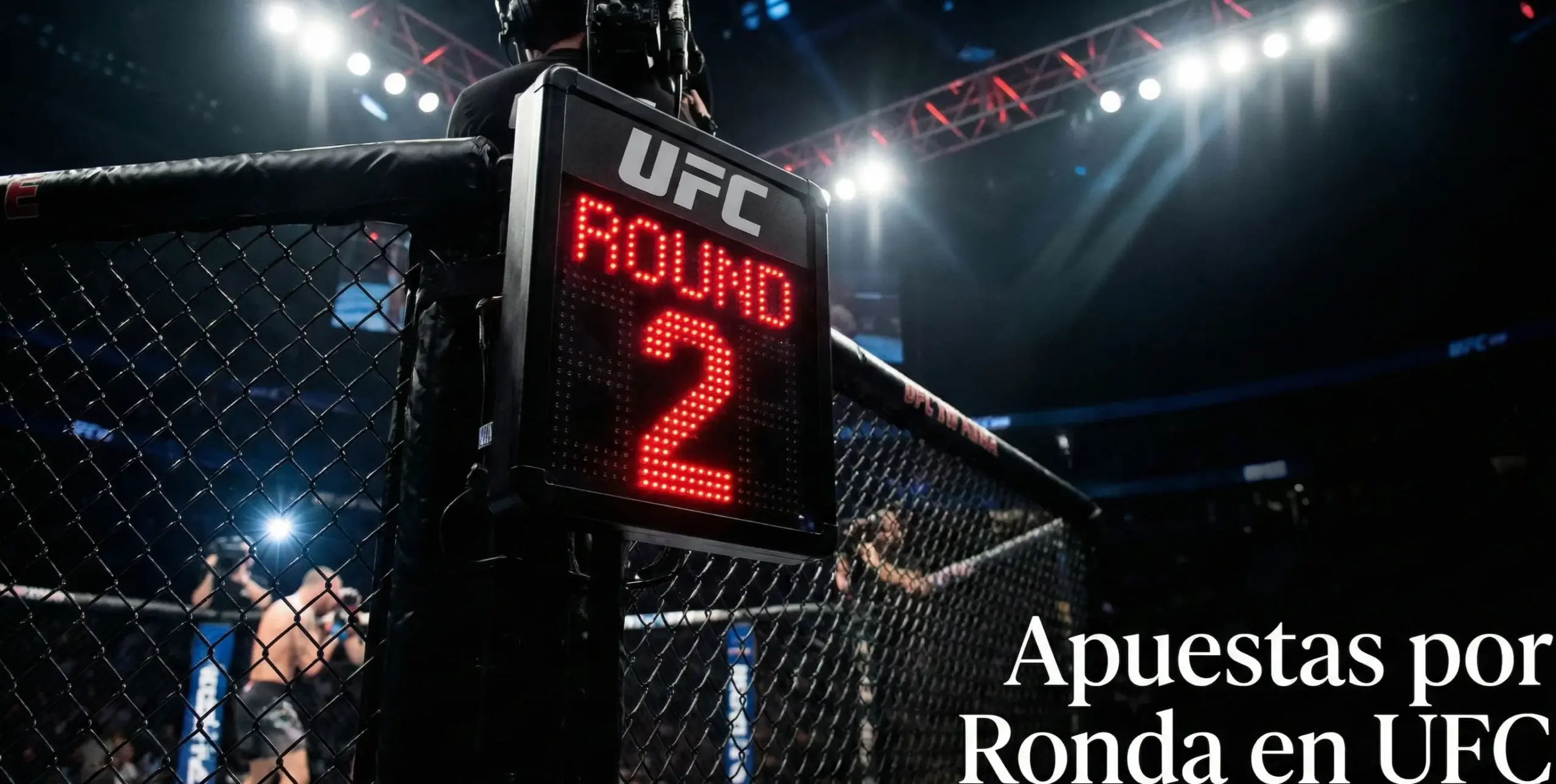 ufc round specific
