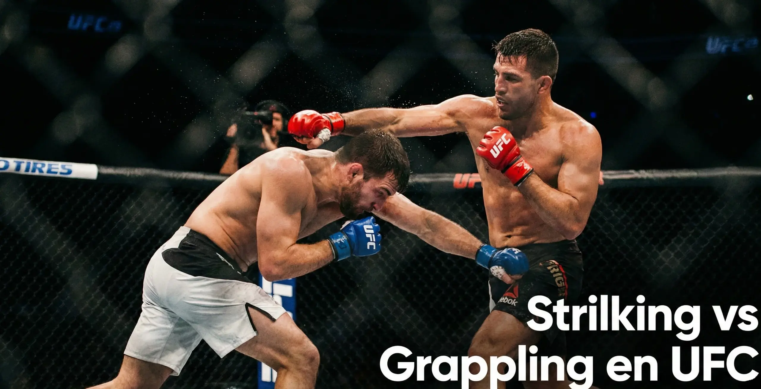 ufc striking grappling